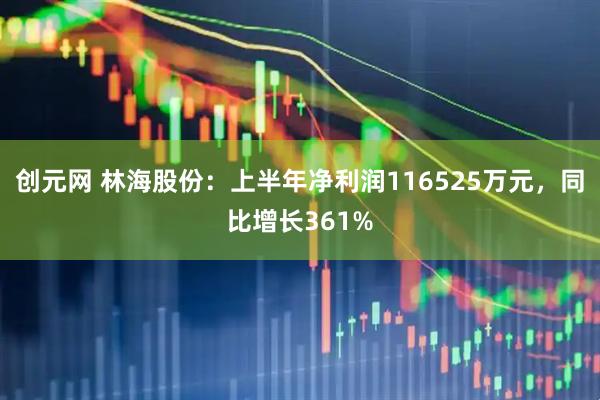 创元网 林海股份：上半年净利润116525万元，同比增长361%