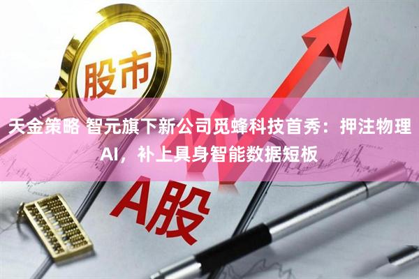 天金策略 智元旗下新公司觅蜂科技首秀：押注物理AI，补上具身智能数据短板