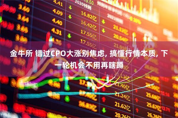 金牛所 错过CPO大涨别焦虑, 搞懂行情本质, 下一轮机会不用再瞎蹲